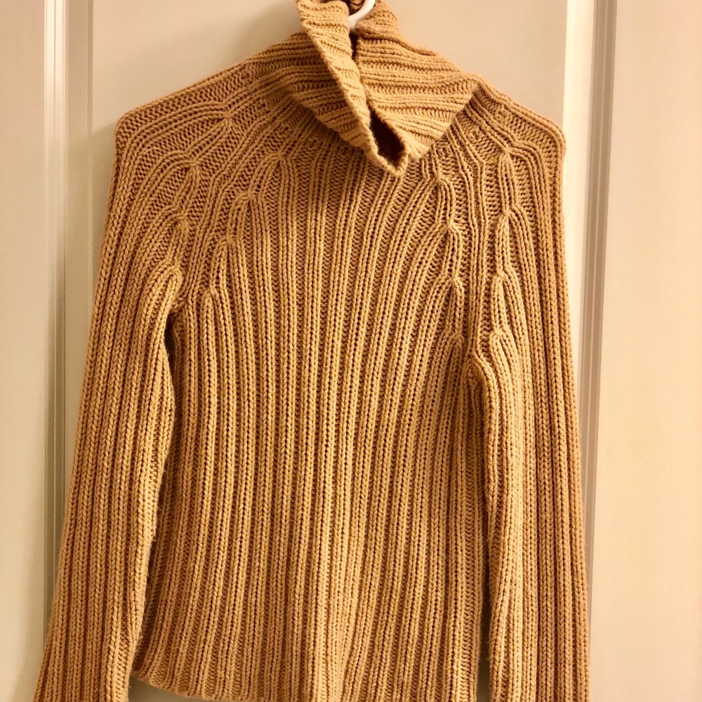 🍁Express turtleneck sweater